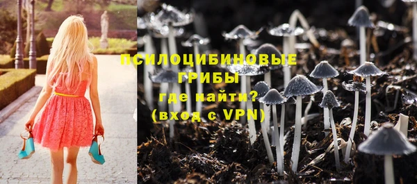 гашиш Бородино