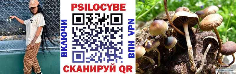 Купить  Оленегорск  Псилоцибиновые грибы ЛСД 