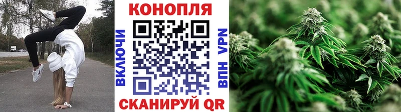 Шишки марихуана план  Купить  Оленегорск 